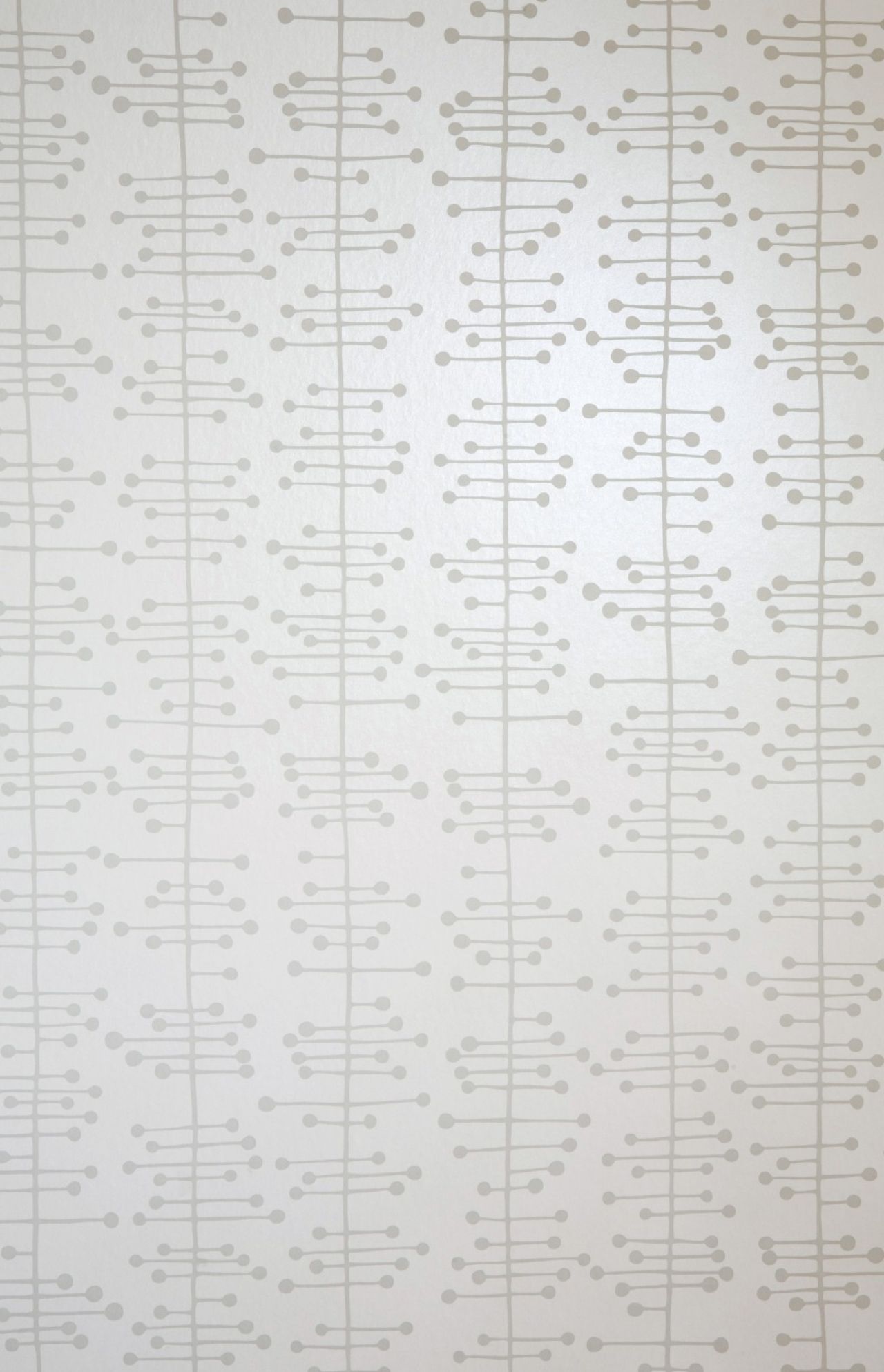 Muscat Wallpaper | MissPrint