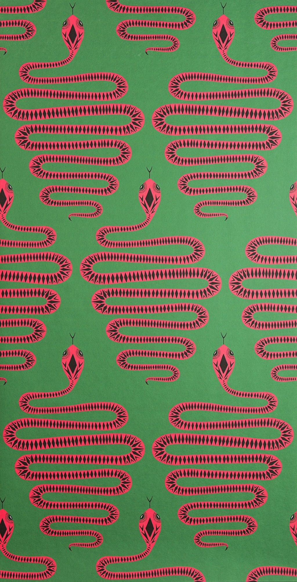 Snakes: Green & Pink