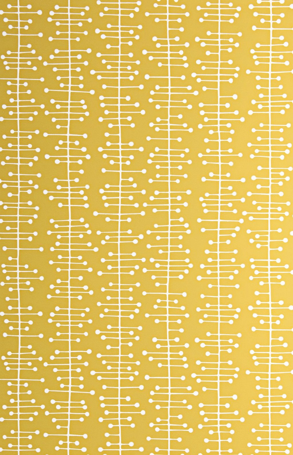 Muscat Small:Primrose