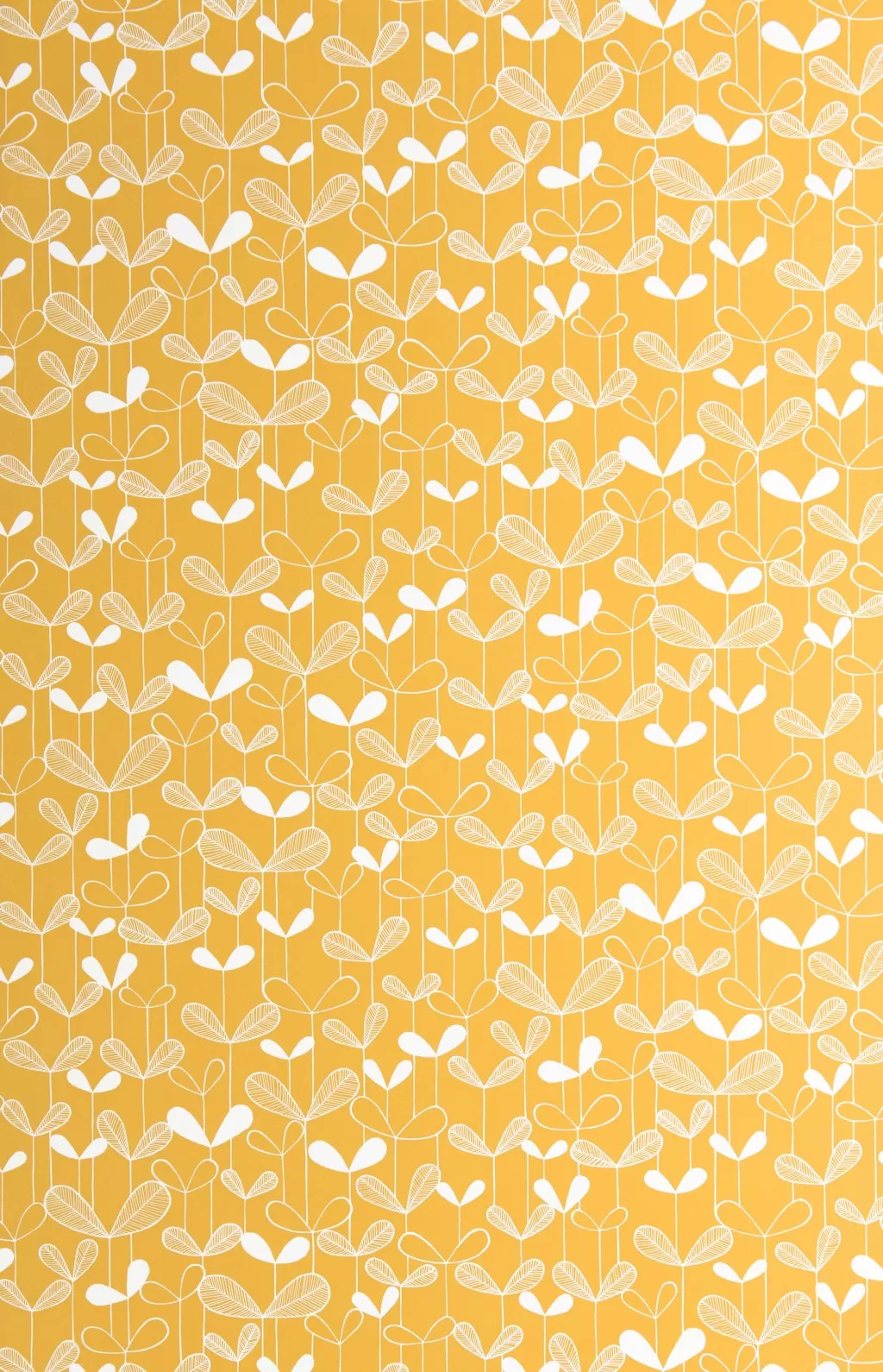 Saplings:Sunflower