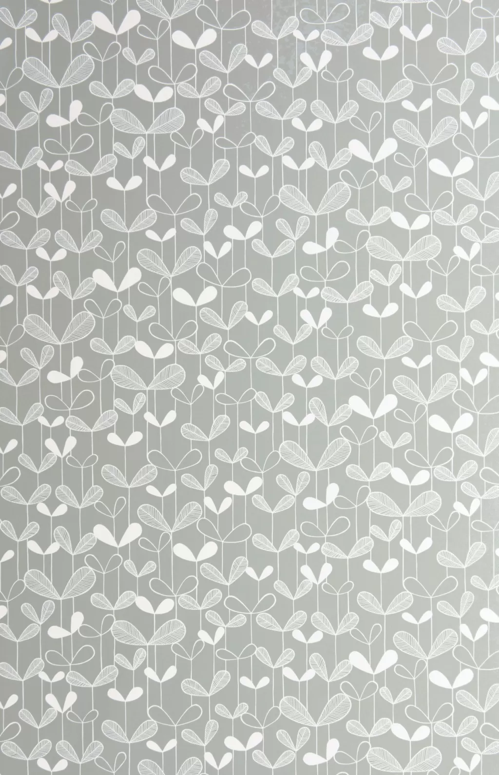 Saplings:Silverleaf