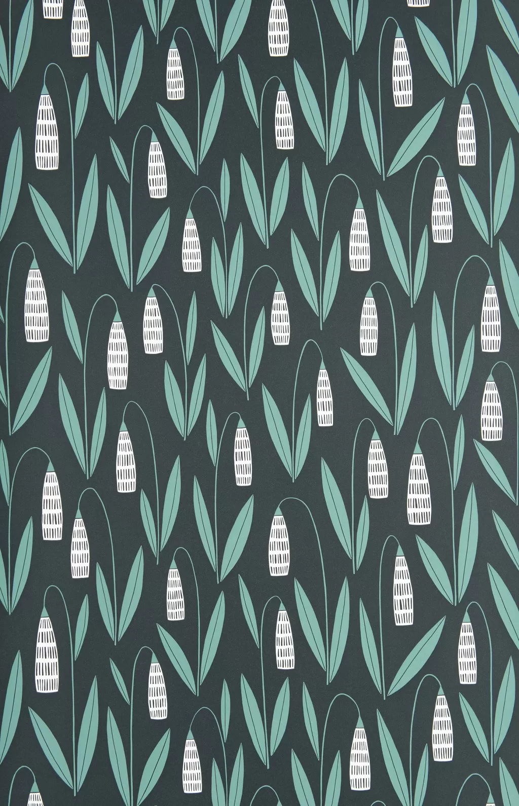 Snowdrops:Night Flower