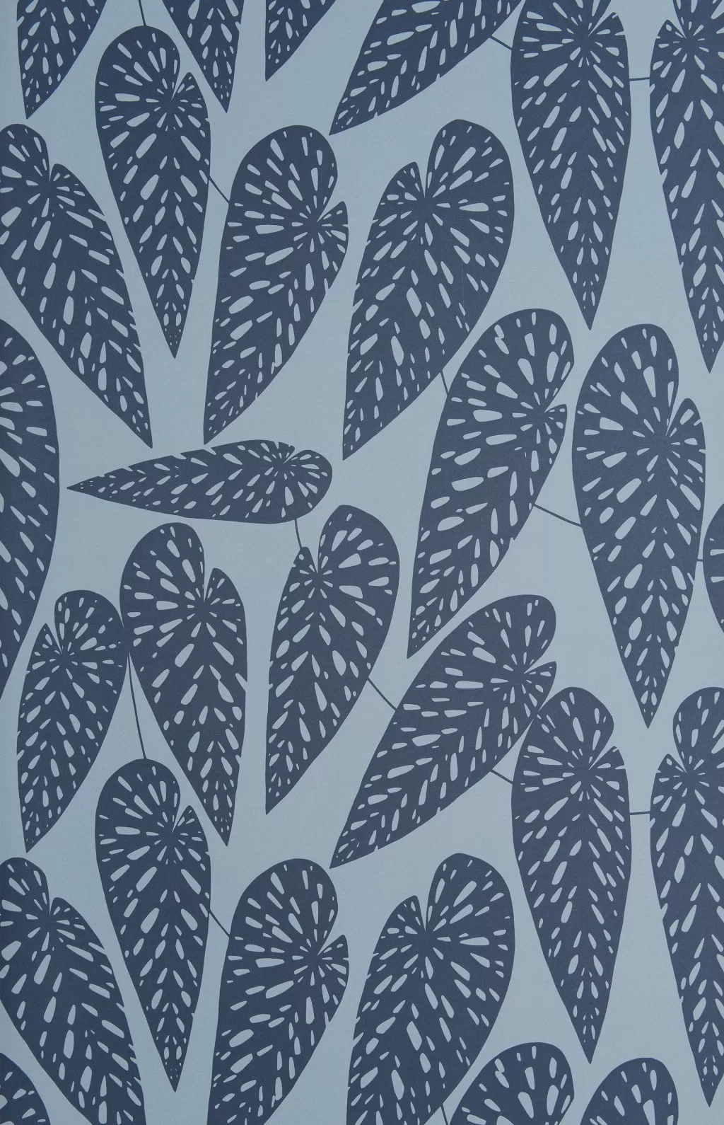 Tropics:Blue Leaf