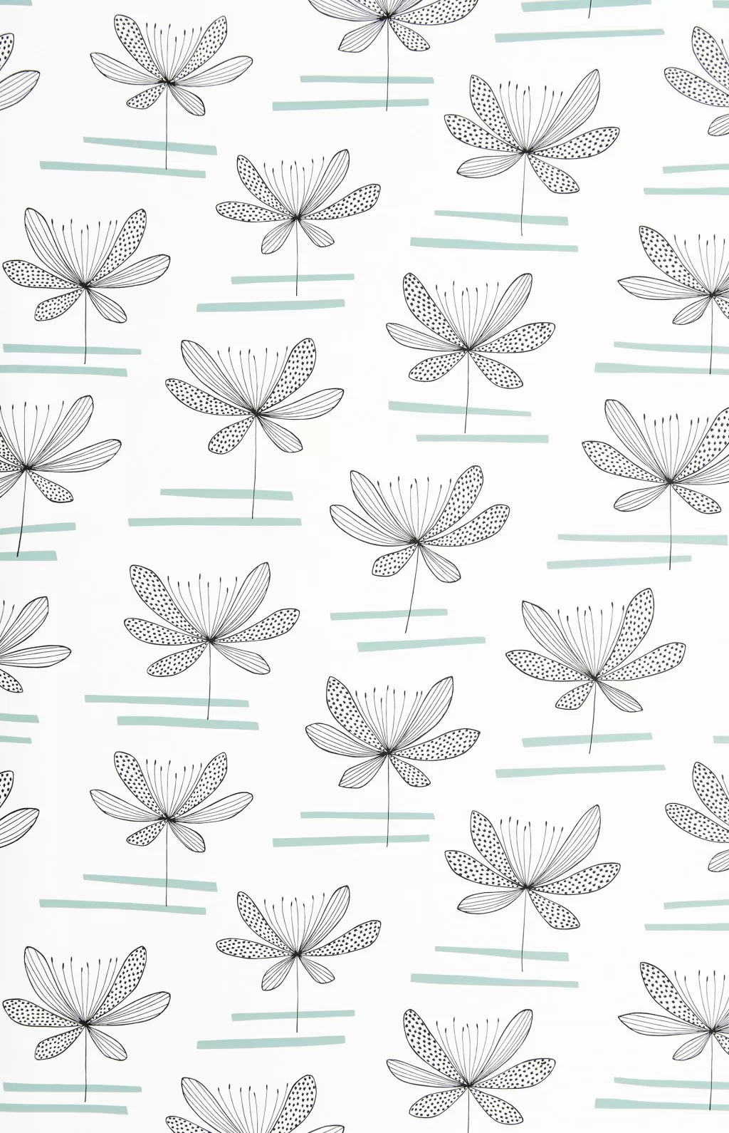 Water Lily:Lake