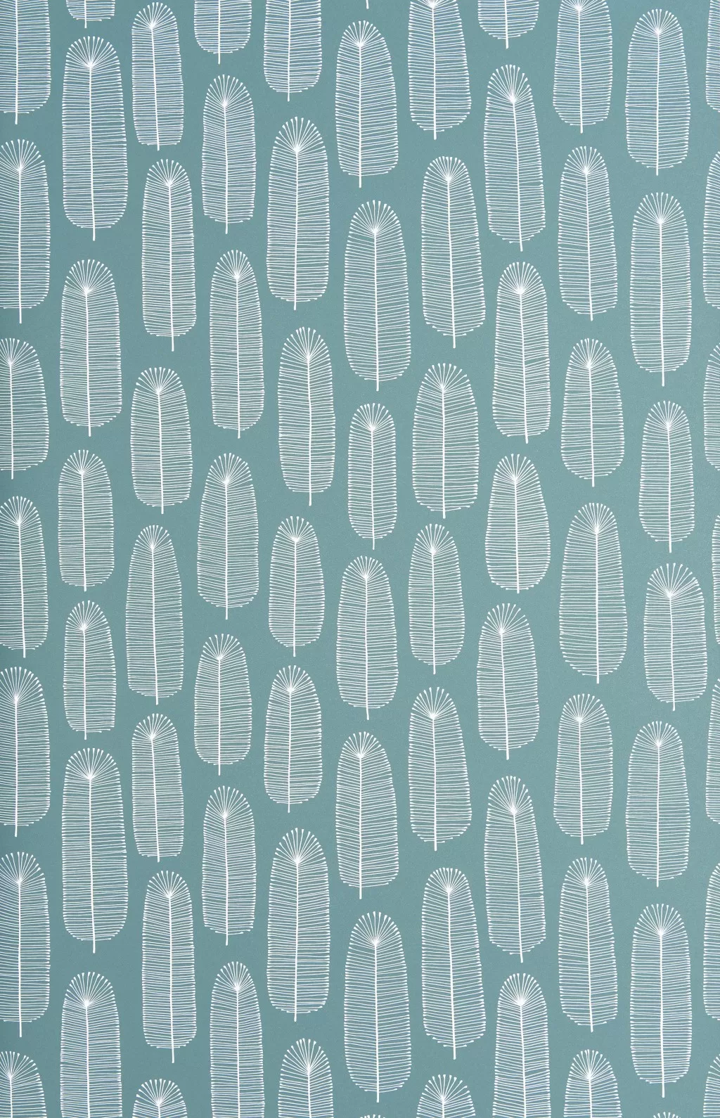 Bloom:Teal