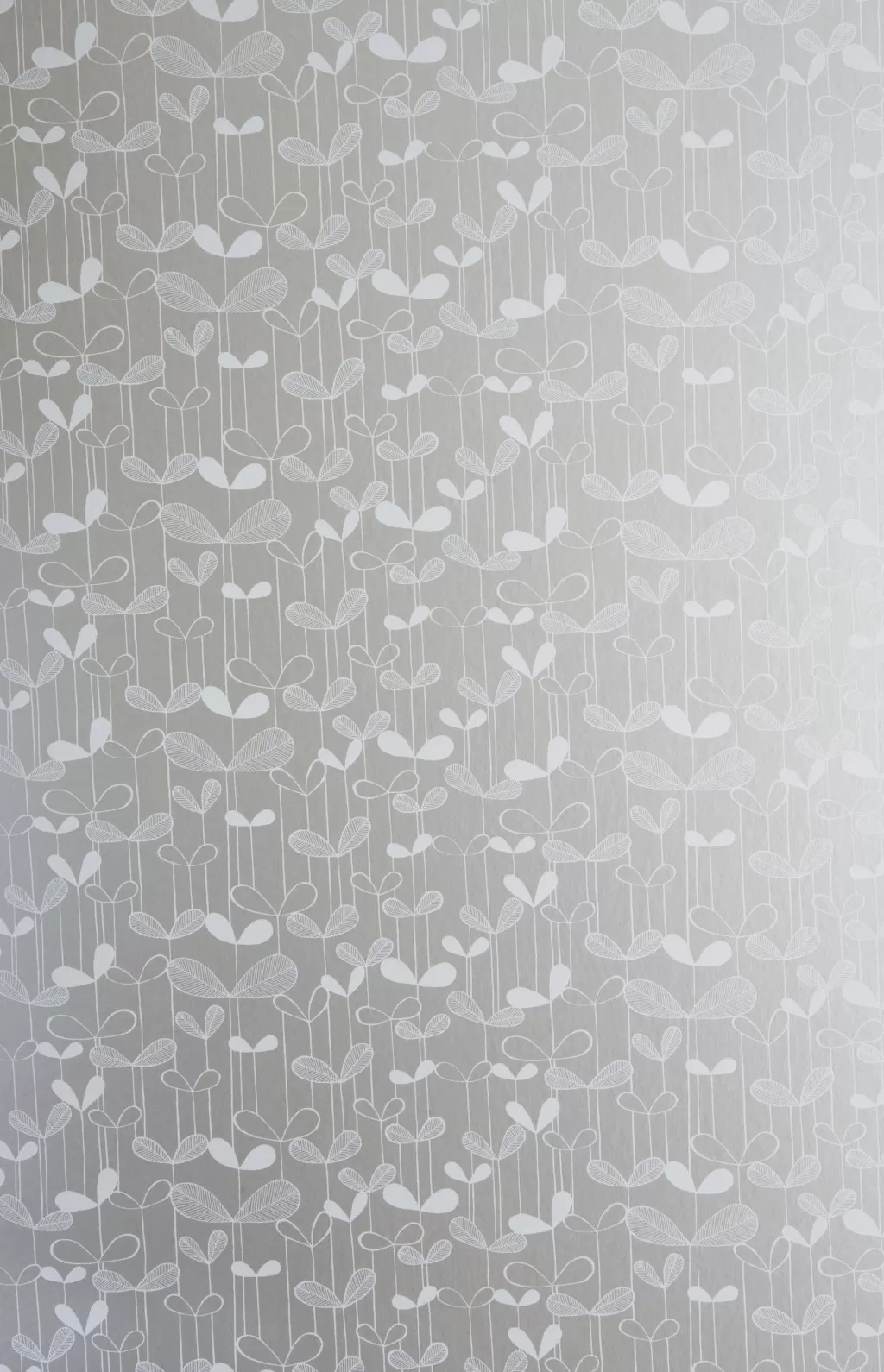 Saplings:Silver with White