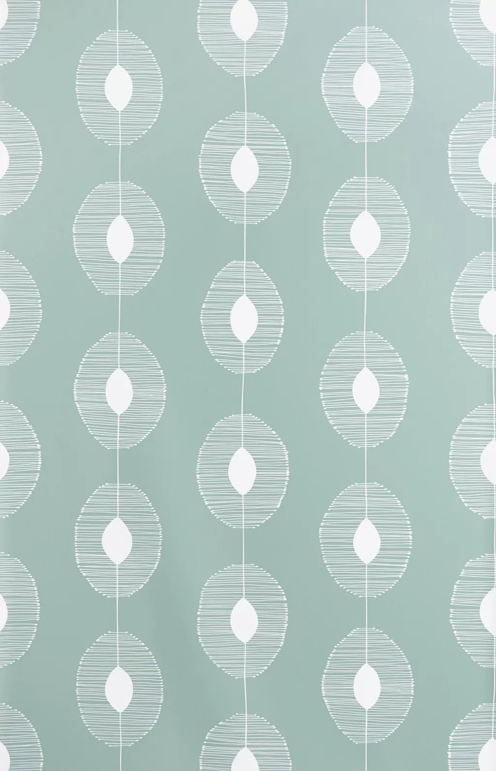 Dewdrops:Eucalyptus