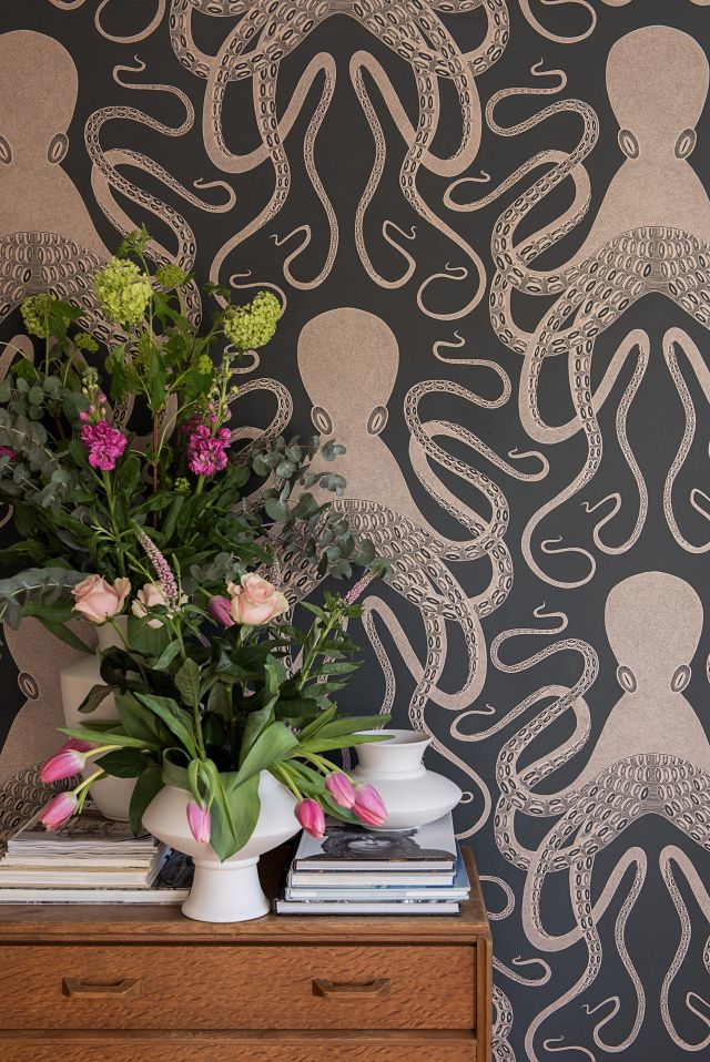 Lush Where Can I Buy An Octopus Design Collection Lush Where Can I Buy An Octopus Design Collection