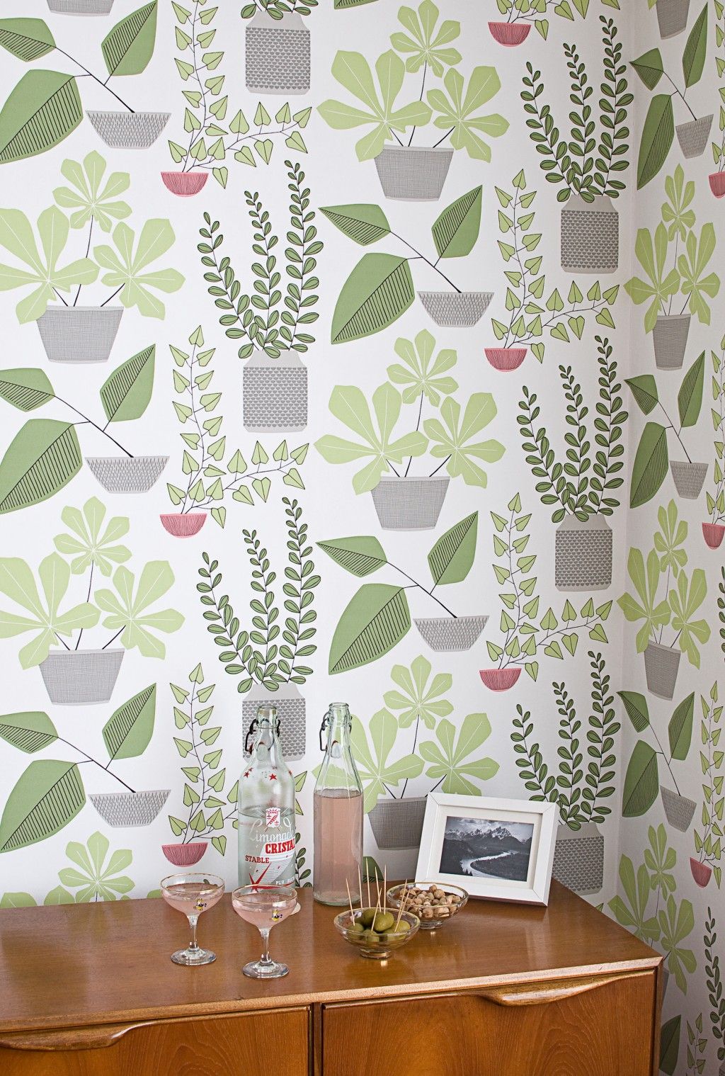 House Plants Wallpaper