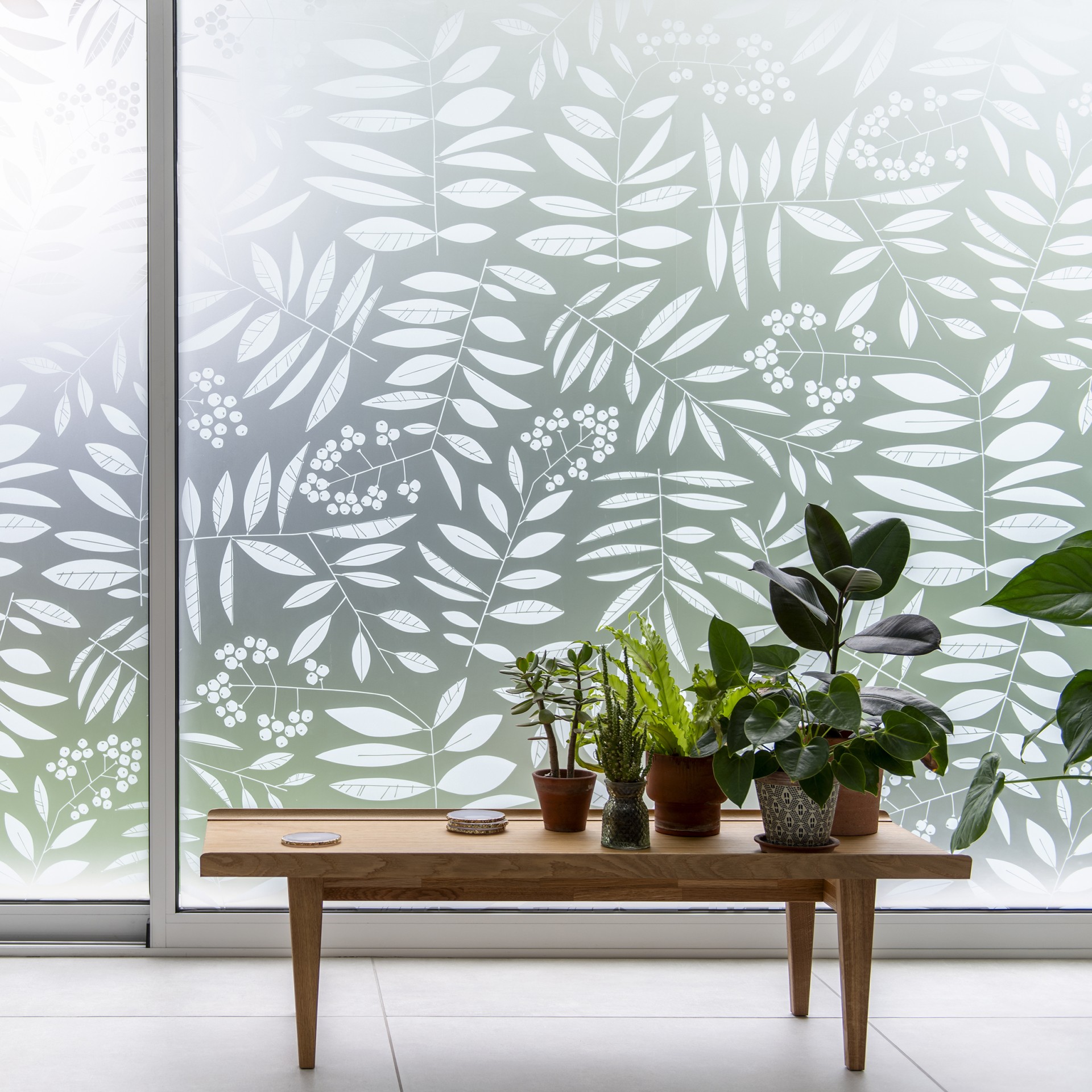 MissPrint window film